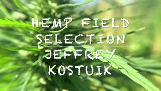 Hemp Field Selection - Jeff Kostuik - PCDF