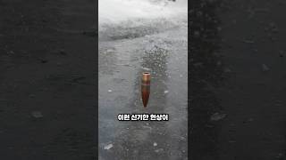 베이블레이드 총알