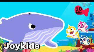 Baby shark vs giant whale while hunting!  a funny song for kids! Joykids nursery rhymes! 🐳🐋🦈