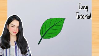 How to draw a leaf easy | Leaf drawing  colour | Easy Drawing