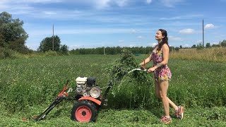 СОЧНЫЙ Сенокос в Деревне. Такого сенокоса вы еще не видели. Косим густую люцерну мотоблоком