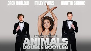 Martin Garrix Vs Miley Cyrus Vs Jack Harlow - Doctor Lovin' Animals (Djs From Mars Double Bootleg)