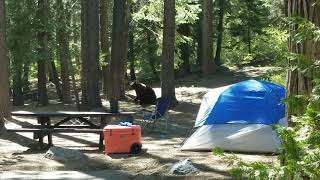 Lake Tahoe - William Kent Campground