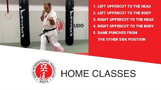 Kudo Home Class 15 - Kihon uppercut