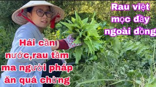 Rau việt mọc đầy đồng không ai hái/thăm sung triệu trái hái rau tầm ma rau cần nước về ăn