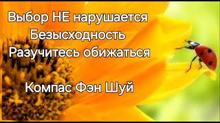 Если вас перебивают. Вера Духовным Сердцем. Месяц в новом Измерении. Не думаете- имеете. Bewusstsein