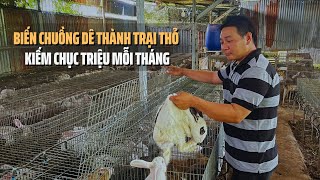 Biến Chuồng Dê Thành Trang Trại Thỏ Kiếm Chục Triệu Mỗi Tháng | Tin Tức Miền Tây