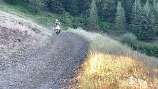 Husqvarna Norden 901 & Honda Africa Twin // Clemen Mountain // WABDR