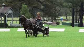 Sara Schmitt Dressage & Cones Southern Pines CDE 2013