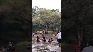 Polo forest 🌳 best place for picnic #shortvideo #youtubeshorts #shorts #subscribe #vlogger