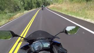 Moose encounter on Yamaha r3