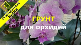 Правильный грунт для домашних орхидей