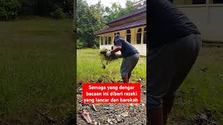 Bacaan Qur'an Merdu Bikin Merinding #shorts #shortsvideo #muratal