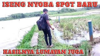 ‼️Iseng Mencoba Spot Baru Mancing Belut, Hasilnya Lumayan Juga. (fishing eel)