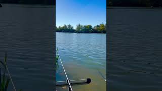 Feeder fishing for bream at Ardleigh reservoir, Colchester