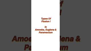 Types of Fussion in amoeba , euglena and paramecium !! #neet #neet2025 #botany #biology