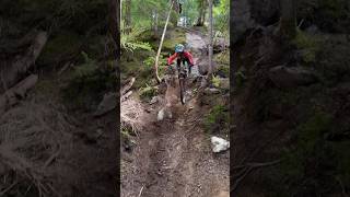 Secret gnar in Whistler 🤫 Elo is 12 #whistler #dhmtb #shorts #bike