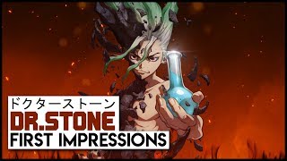 Dr Stone - First Impressions