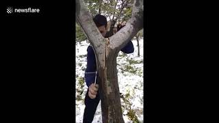 Un homme répare un arbre avec un boulon