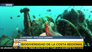 LPM | BIODIVERSIDAD DE LA COSTA REGIONAL | SAAD | 02/03/23