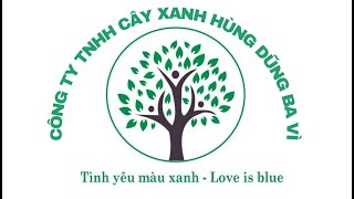 Cây xanh Hùng Dũng