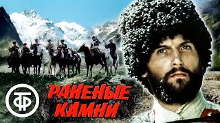 Раненые камни. Фильм с Никитой Джигурдой (1987)