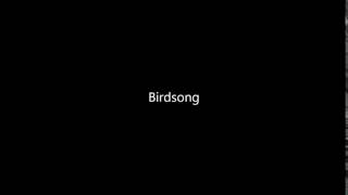 Birdsong