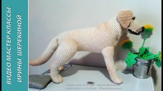 Лабрадор - собака Путина! ч.1. Labrador is Putin's dog! р.1.  Amigurumi. Crochet.  Амигуруми.