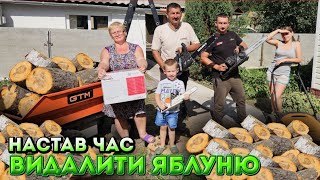 🇺🇦Ліквідація ВІКОВІЧНОЇ ЯБЛУНІ.  Як розпиляти складне дерево в незручному місці