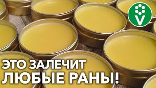 САДОВЫЙ ВАР ГОТОВИМ САМИ! Старинный РЕЦЕПТ натуральной лечебной смеси для деревьев!