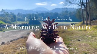 A Morning Walk in Nature | Finding Calmness and Inspiration | Situ Patenggang Bandung Indonesia