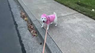 Snow in her new hoodie