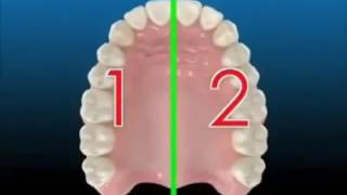 CÁCH CHẢI RĂNG - RĂNG TRẮNG SÁNG - KAN DENTAL