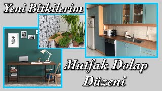 MUTFAK DOLAP DÜZENİ / YENİ BİTKİLERİM / Çalışma Masası geldi