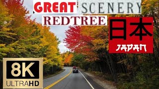 #8k #4k japan traveling in beautiful roads | walking | beauty vs japan | sunset drive in japan