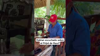 Habían escuchado sobre el Frijol de Hass? #humor #mechito #guatemaya #comedia #chistes