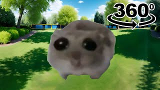 Sad Hamster Meme 360º