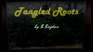 Tangled Roots - day 196