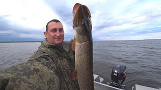 В поисках трофейной щуки. Рыбалка на реке Печора.