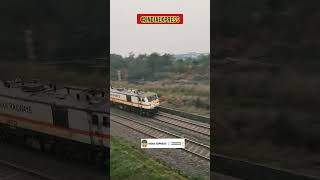 Perfect Dual Honk by the King WAP 7🔥 | INDIAN RAILWAYS| #shorts #train #india #viral