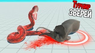 Кто сильнее ? Турнир зверей ! ( Animal Revolt Battle Simulator )