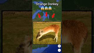 Strange donkey in google maps 😱😨 | #mapping @EarthSecret04 #earthsecret04 #earth4u 🌎