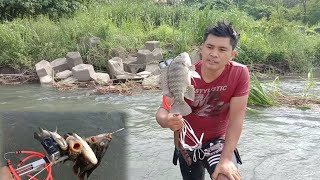 Graveh.Bilis makahuli ng tilapia kapag Pana Jockpot Catch&cook|Crispy fry Tilapia ang Sarap