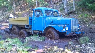 Truck got stuck in mud! Driver didn't expect what had been waiting off-road!