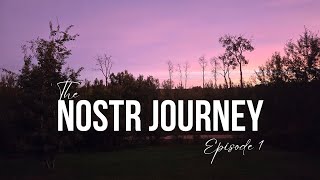 the nostr journey part 1 - WHY NOSTR?