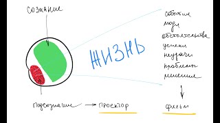 Как подсознание создаёт нашу реальность?