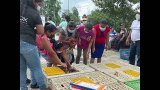 Preparación y recuperación por la erupción del volcán de Fuego | Guatemala