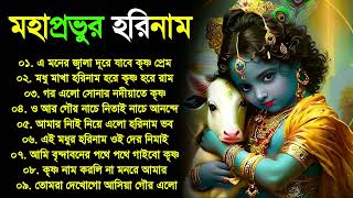 Radha Krishna Horinam | Bangla Hit Horinam | New Horinam Kirton 2024 | Bengali Horinam Kirton Song