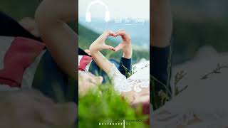 ♥️ Romantic Status ♥️ Hindi Song🍁Love Status🌺Old Song💐 Kumar Sanu And Alka Yagnik Hit Song 🍁#shorts