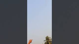 makarsakranti spaical kite  #makarsankranti